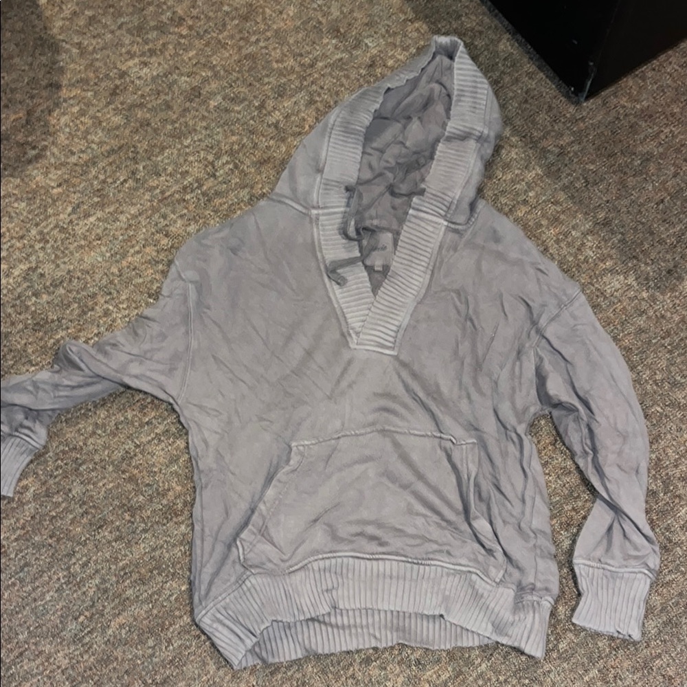 Hooded Aerie Sweatshirt/Sweater